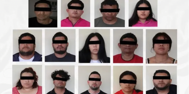 Cateos por secuestro en Veracruz dejan 14 detenidos y armas aseguradas