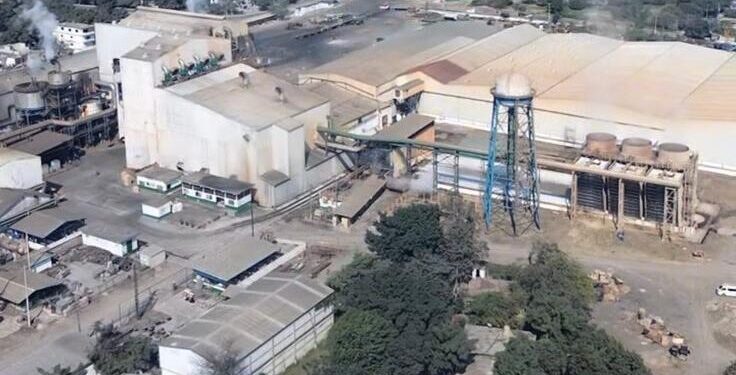 Denuncian contaminación del ingenio El Higo en la Mañanera