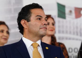 Derrota en las urnas, escaño en el Senado: el caso Vargas
