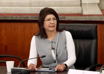 Precisa la Senadora Mariela que Apoyo de Eutanasia a Perritos fue Conforme a la Norma