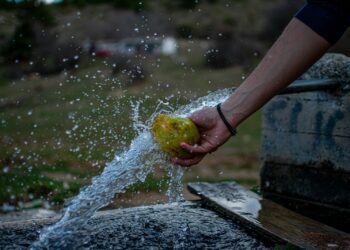 Agrava presión sobre agua, suelo y clima por desperdicio alimentario