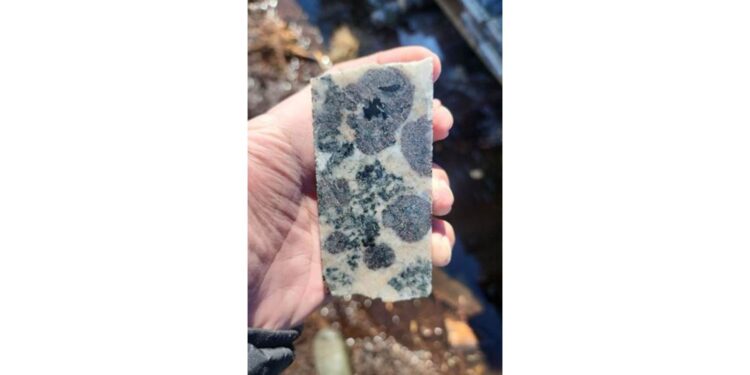 El descubrimiento de minerales de Juno se amplía para incluir metales magnéticos de tierras raras pesadas