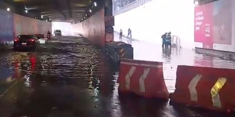 Inundaciones, árboles caídos y basura en las calles: siguen las afectaciones en CDMX tras las intensas lluvias
