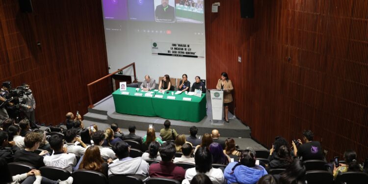 Borrador automáticoPlantea Felipe Miguel Delgado limitar amparos en casos de feminicidio