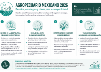 El sector agropecuario mexicano: desafíos geopolíticos, climáticos y la búsqueda de rentabilidad