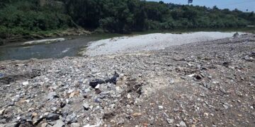 Nuevo León: lluvias reabren debate sobre limpieza en el Río Santa Catarina