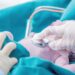 Cada año nacen hasta 16 mil niños con cardiopatías congénitas en México; ACORI llama a fortalecer el Tamiz Neonatal Cardiológico