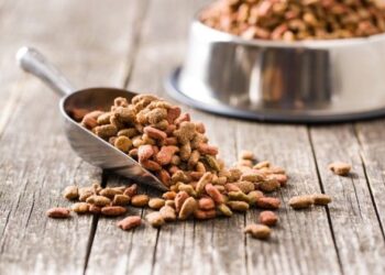 Revisión de 31 estudios concluye que los alimentos veganos para perros y gatos tienen buena digestibilidad
