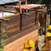 Victoria ambiental en Xochimilco: se recuperan casi 6 hectáreas clave para frenar la urbanización