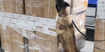 Alerta en el AICM: Aseguran cargamento millonario de cigarrillos pirata procedentes de Tailandia