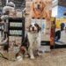 Petco impulsa el segmento premium con marcas especializadas para el bienestar de las mascotas