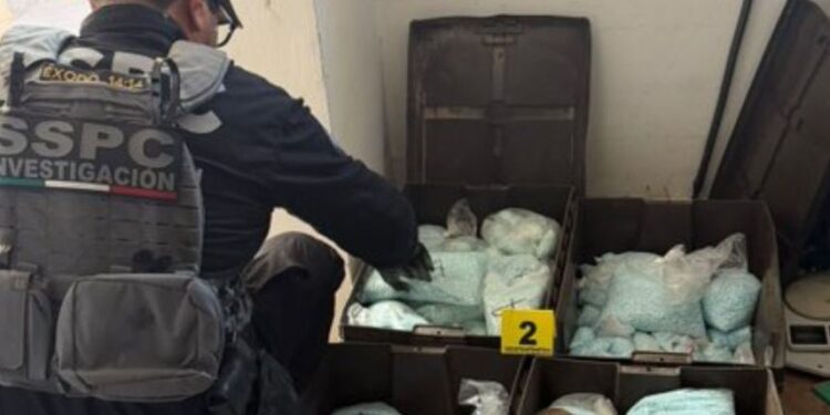 Golpe a ‘Los Rusos’: aseguran 120 kilos de pastillas de fentanilo en Mexicali