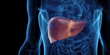 La ciencia reta por primera vez la irreversibilidad de la cirrosis por MASH