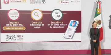 De la UNAM al gobierno: las fallas de una misma empresa vuelven a encender las alarmas