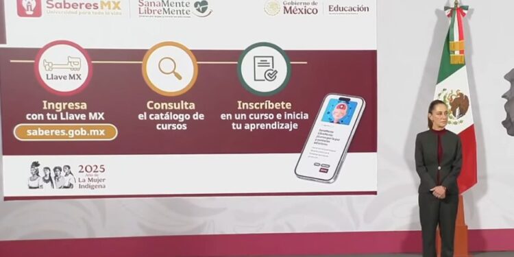 De la UNAM al gobierno: las fallas de una misma empresa vuelven a encender las alarmas