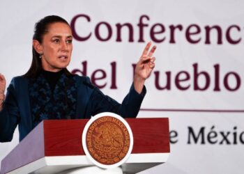 Aguacate en alerta: Sheinbaum confirma amenazas contra inspectores de EU en Michoacán