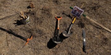 Buscadoras de Sonora encuentran una fosa con restos óseos y más de 50 casquillos percutidos