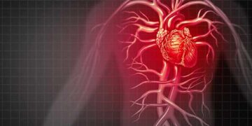 Cardio-oncología, cuidado del corazón durante y después del cáncer