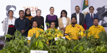 Sheinbaum presenta cruzada ambiental para plantar 6.6 millones de árboles en todo el país