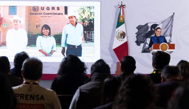 Sheinbaum anuncia reanudación de la exportación de ganado a Estados Unidos desde Sonora