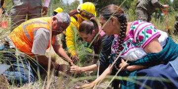 Claudia Sheinbaum encabeza inicio de la Jornada Nacional de Reforestación 2026