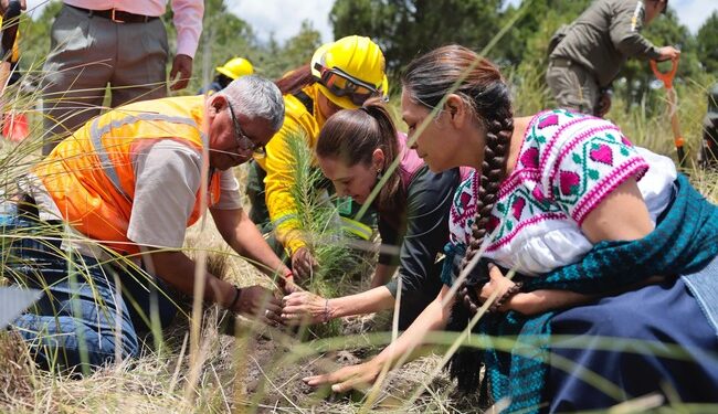 Claudia Sheinbaum encabeza inicio de la Jornada Nacional de Reforestación 2026