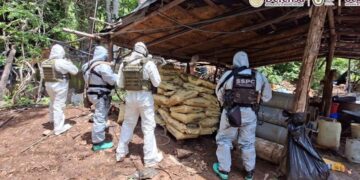 Desmantelan cuatro laboratorios clandestinos con 10 toneladas de precursores y sustancias química en los límites de Michoacán y Guerrero