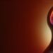 La obesidad altera los lípidos cerebrales y acelera la progresión del Alzheimer