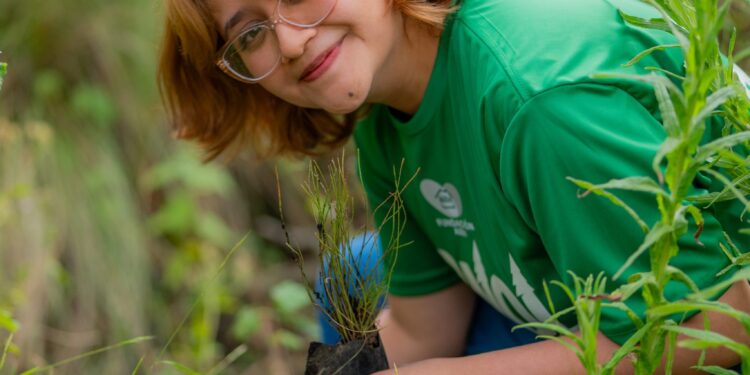 Pinol® y Fundación AlEn suman esfuerzos para restaurar bosques de pino en México
