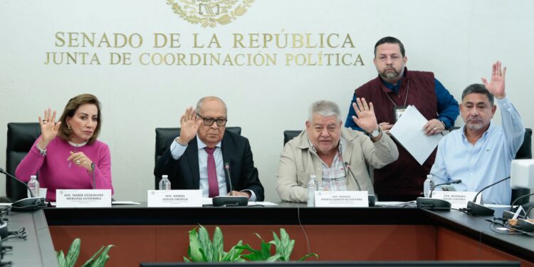 Avanza en comisiones del Senado reforma para regular uso de dispositivos digitales en escuelas