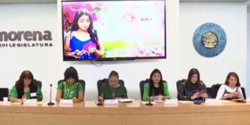 Preciso, impulsar exigencia de eliminar delito de aborto de los códigos penales, afirma Anaís Burgos