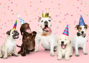 Petco celebra 13 años en México y consolida su evolución hacia el bienestar y la experiencia