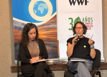 Presenta WWF su Informe Planeta Vivo, advierten descenso del 73% de fauna silvestre