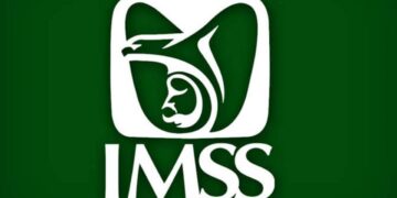 Contrataciones millonarias del IMSS adjudicadas con declaraciones falsas