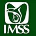 Contrataciones millonarias del IMSS adjudicadas con declaraciones falsas
